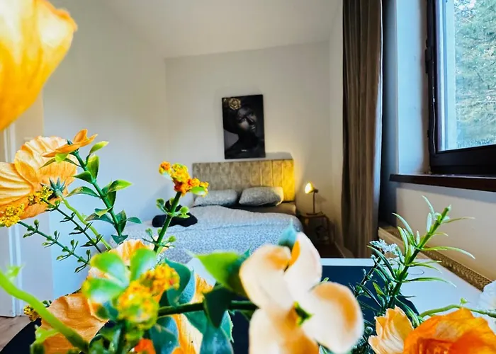 8br Apt, With Garden & Tarrace, Sleeps 17 Apartment