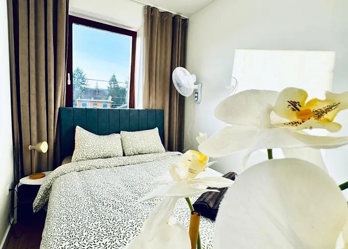 8br Apt, With Garden & Tarrace, Sleeps 17 Vienna